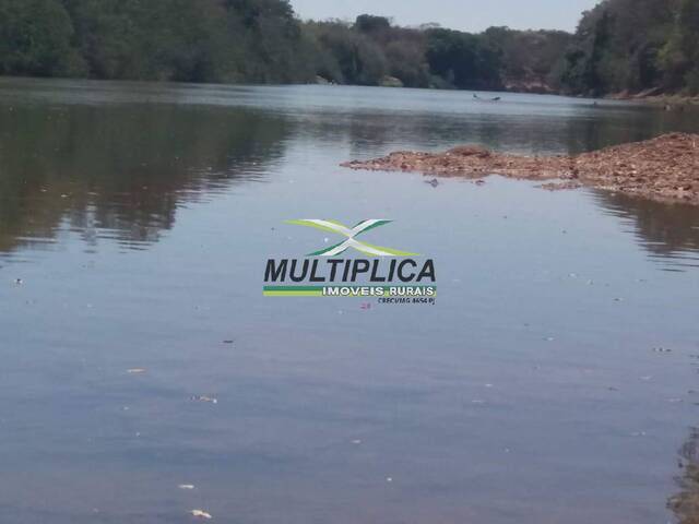 Fazenda a venda em Sao Romao