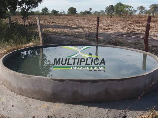 #462 - Fazenda para Venda em São Romão - MG