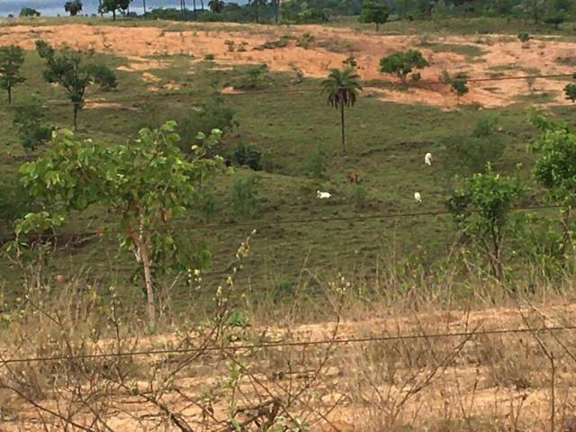 #480 - Fazenda para Venda em São Gonçalo do Abaeté - MG
