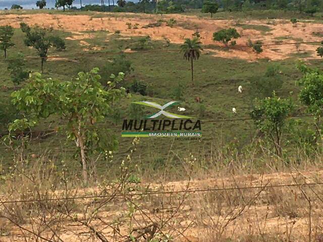 #480 - Fazenda para Venda em São Gonçalo do Abaeté - MG