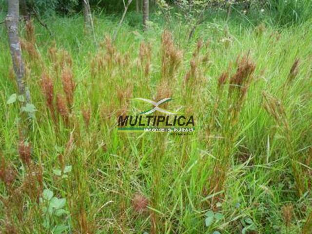 fazenda a venda em Wanderley  BA