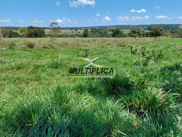 #495 - Área para Locação em Santa Vitória - MG - 1