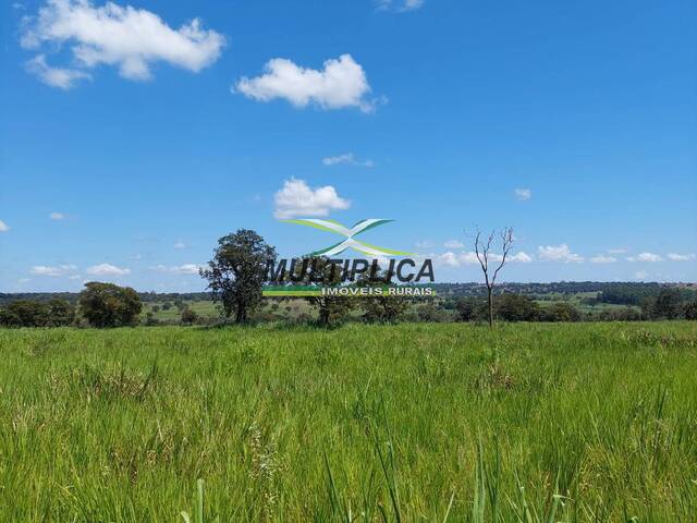 #495 - Área para Locação em Santa Vitória - MG - 2