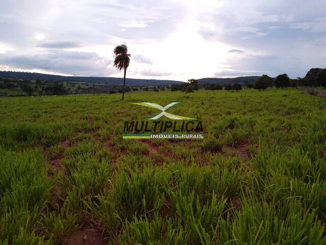 #504 - Fazenda para Venda em Santa Vitória - MG - 2