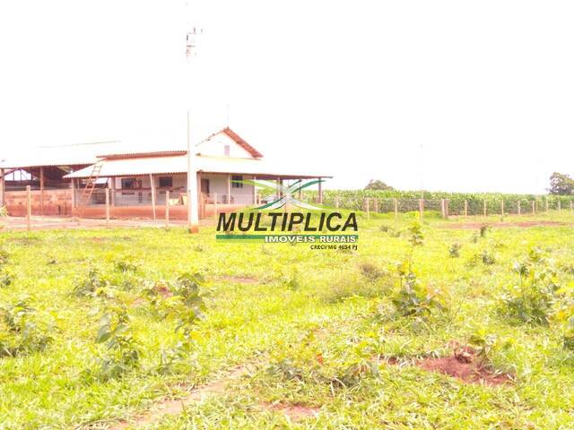 #504 - Fazenda para Venda em Santa Vitória - MG - 3
