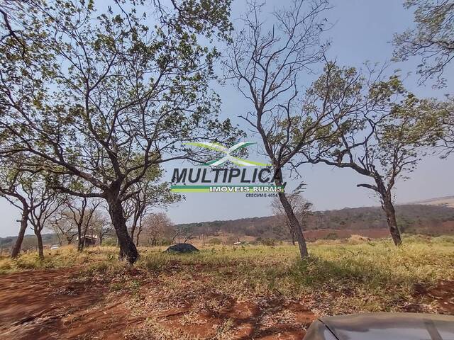 #559 - Chácara para Venda em Uberlândia - MG - 3