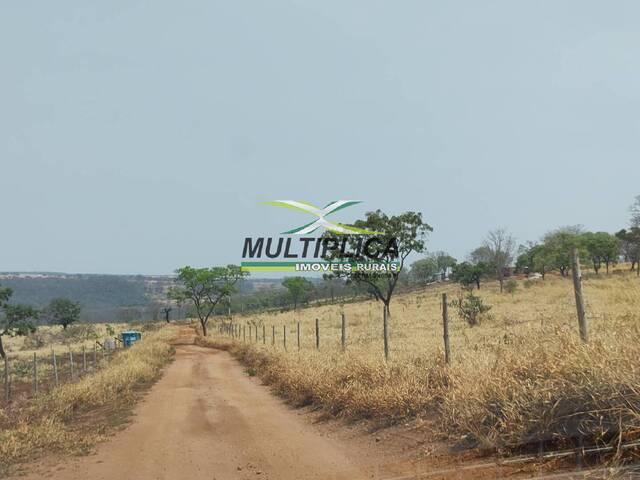 #559 - Chácara para Venda em Uberlândia - MG - 2