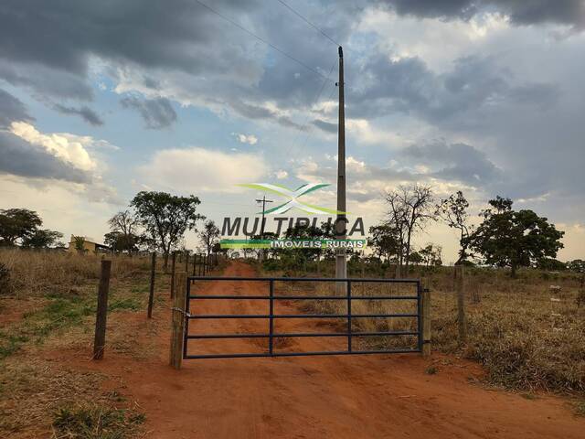 Venda em Saraiva - Uberlândia