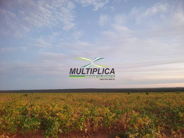 #564 - Fazenda para Venda em Mambaí - GO