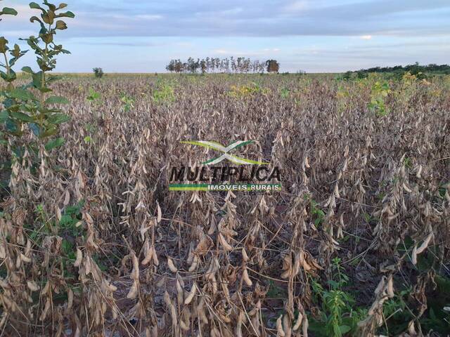 #564 - Fazenda para Venda em Mambaí - GO