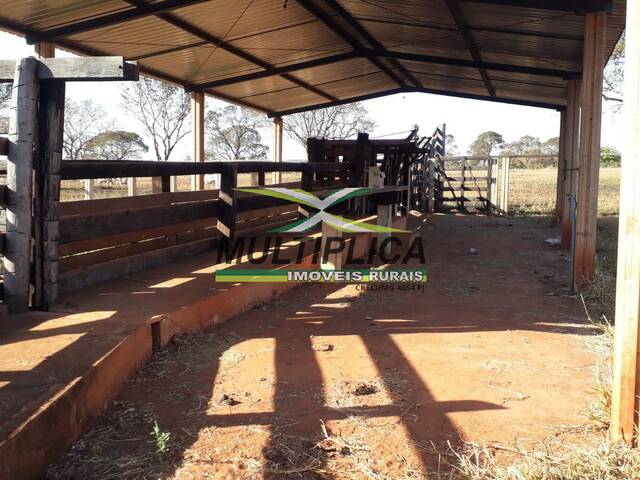 #570 - Fazenda para Venda em Ituiutaba - MG