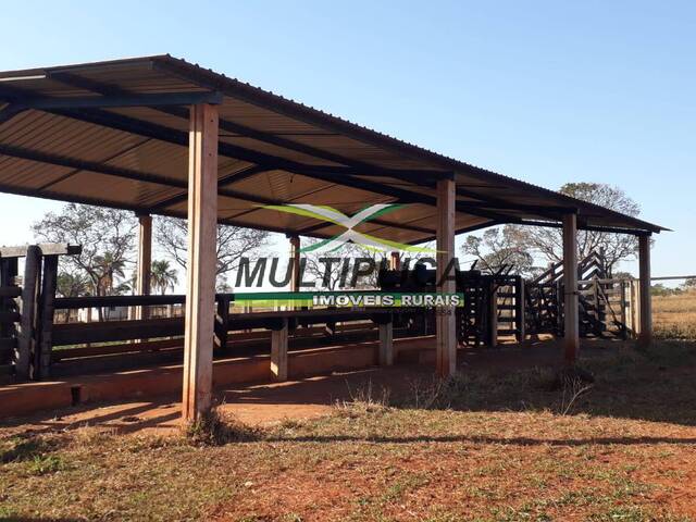 #570 - Fazenda para Venda em Ituiutaba - MG