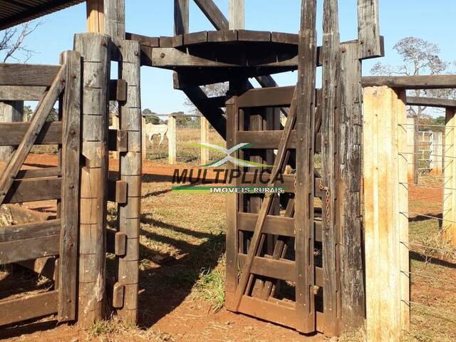 Fazenda para Venda em Ituiutaba - 4