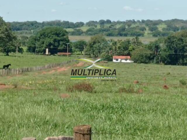 #571 - Fazenda para Venda em Iturama - MG - 3