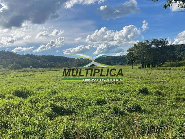 #574 - Fazenda para Venda em Campina Verde - MG