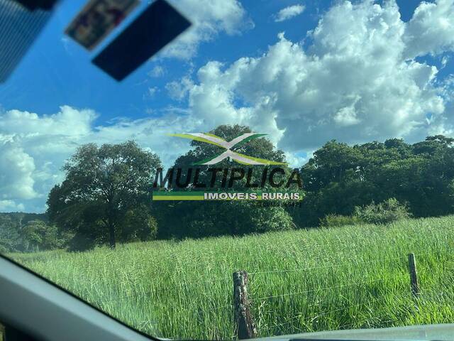 #574 - Fazenda para Venda em Campina Verde - MG