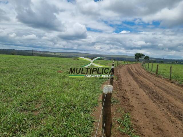 #575 - Fazenda para Venda em Uberlândia - MG