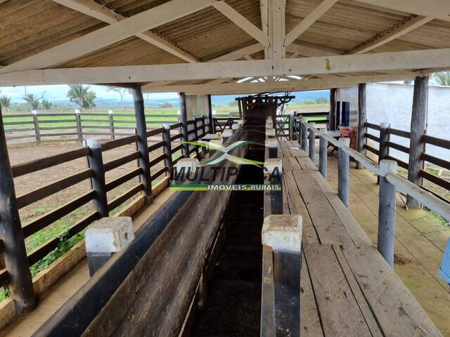 #575 - Fazenda para Venda em Uberlândia - MG