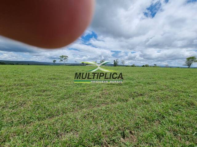 #575 - Fazenda para Venda em Uberlândia - MG