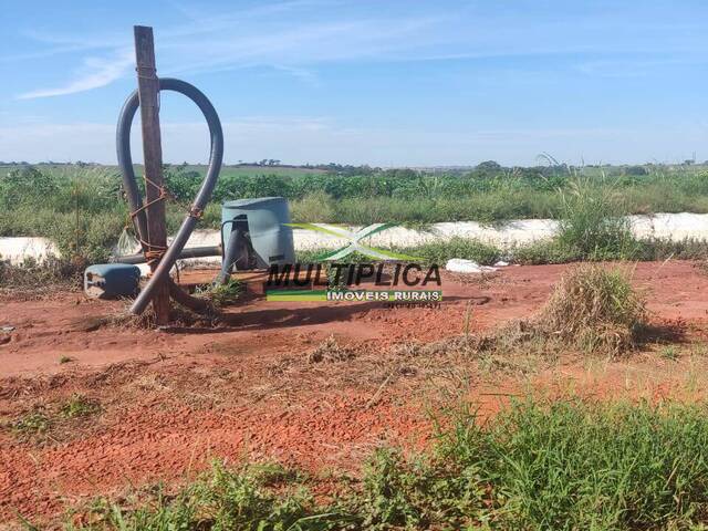 #577 - Fazenda para Venda em Guaraci - SP