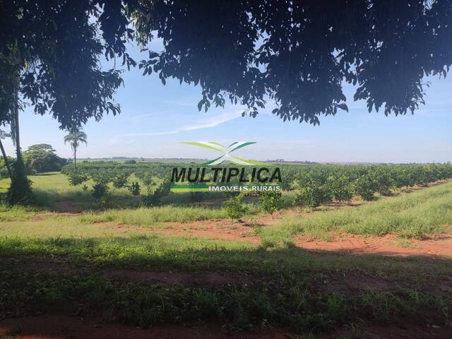 #577 - Fazenda para Venda em Guaraci - SP