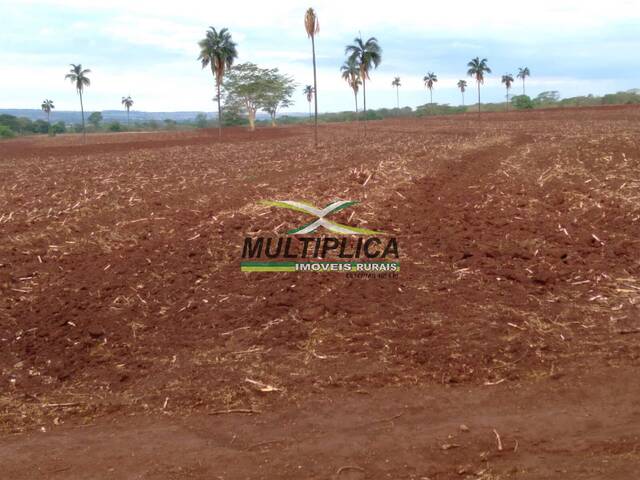 #579 - Fazenda para Venda em Santa Vitória - MG
