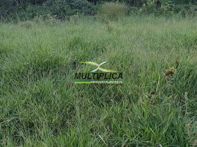 #581 - Sítio para Venda em Prata - MG