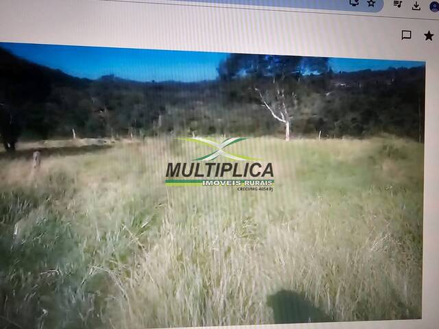 #583 - Fazenda para Venda em Prata - MG