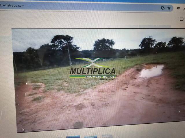 #584 - Sítio para Venda em Campina Verde - MG - 3