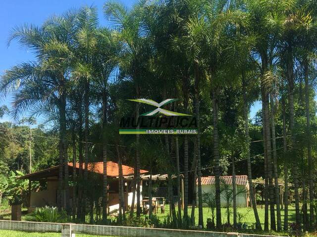 #585 - Sítio para Venda em Prata - MG