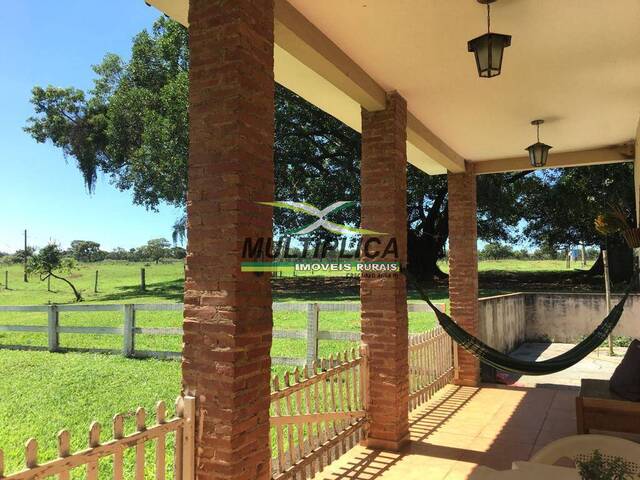 #585 - Sítio para Venda em Prata - MG