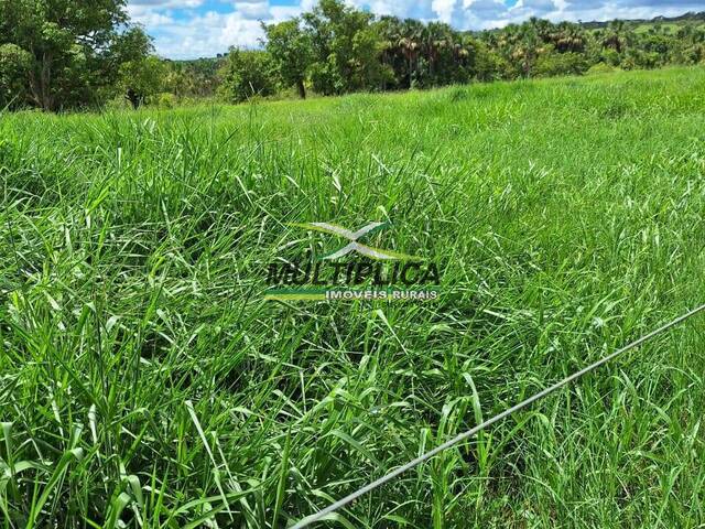 #586 - Fazenda para Venda em Prata - MG - 1