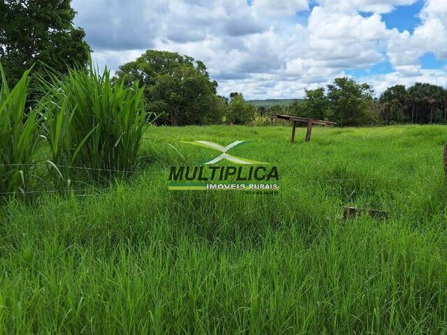 #586 - Fazenda para Venda em Prata - MG - 2