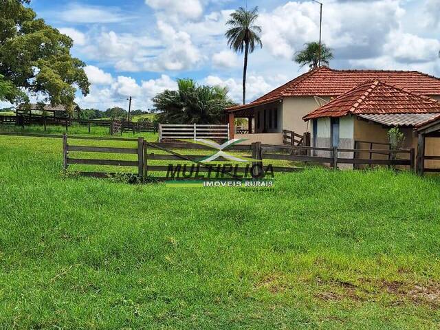 #586 - Fazenda para Venda em Prata - MG - 3