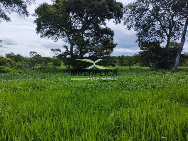 #589 - Fazenda para Venda em Montes Claros - MG
