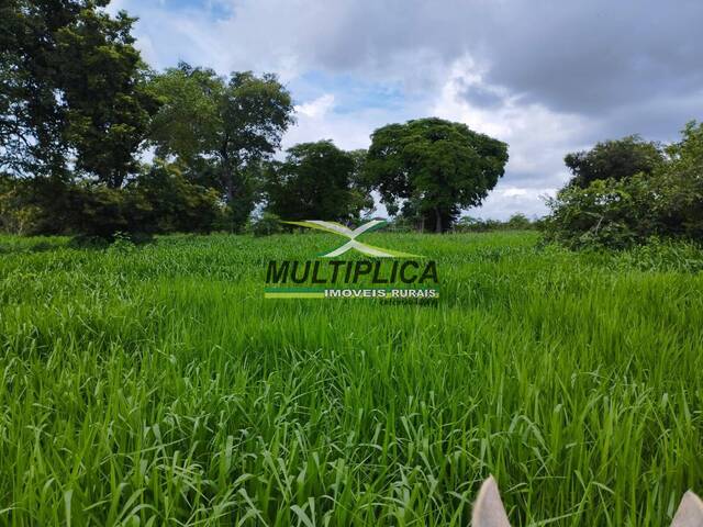 #589 - Fazenda para Venda em Montes Claros - MG