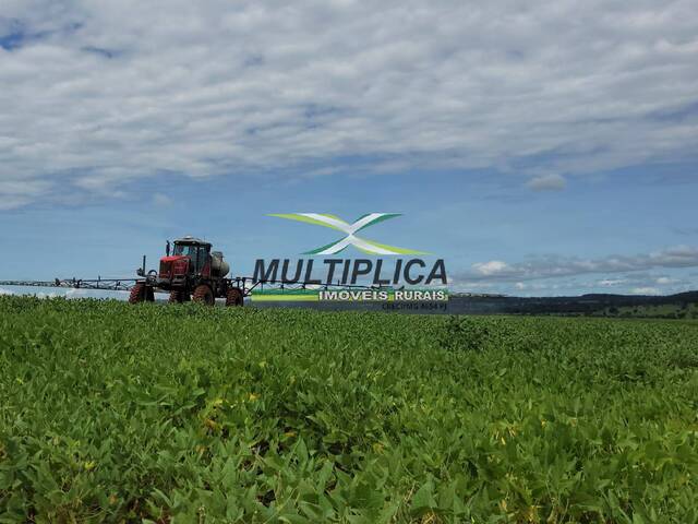 #593 - Fazenda para Venda em Prata - MG