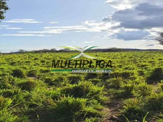 #595 - Fazenda para Venda em Gurupi - TO