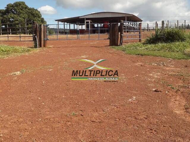 #596 - Fazenda para Venda em Campina Verde - MG