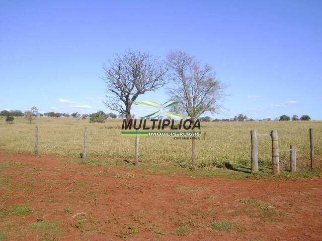 #597 - Fazenda para Venda em Santa Vitória - MG - 3