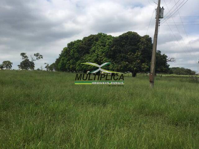 #598 - Fazenda para Venda em Ilha Solteira - SP