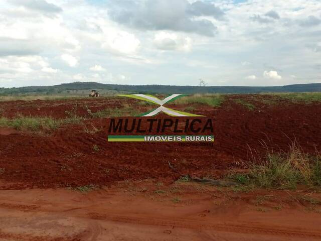 #599 - Fazenda para Venda em Prata - MG