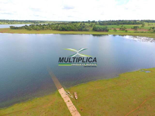 #601 - Fazenda para Venda em Santa Vitória - MG