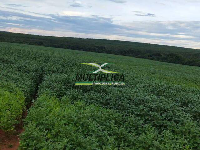 #603 - Fazenda para Venda em Prata - MG - 3