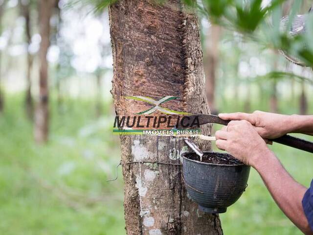 #604 - Fazenda para Venda em Prata - MG - 2