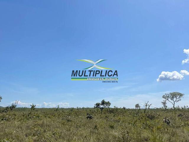 #606 - Fazenda para Venda em Niquelândia - GO