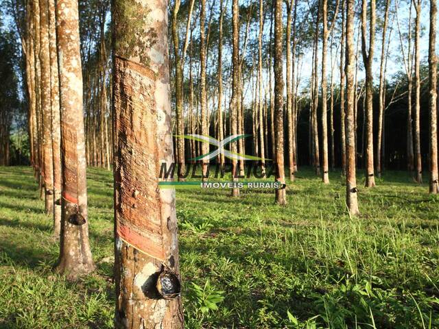 #607 - Fazenda para Venda em Prata - MG