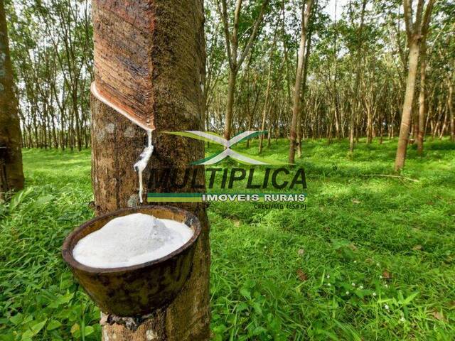 #607 - Fazenda para Venda em Prata - MG