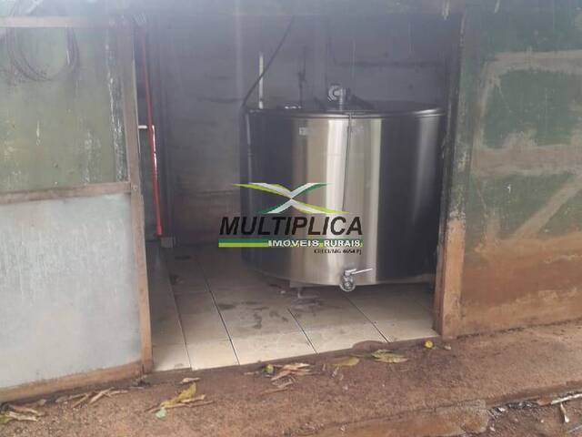 #608 - Sítio para Venda em Monte Alegre de Minas - MG - 2