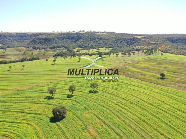 #609 - Fazenda para Venda em Campina Verde - MG